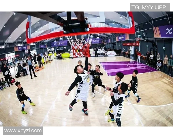 武汉篮球队的辉煌转型之路从低谷到冠军赛的逆袭之旅